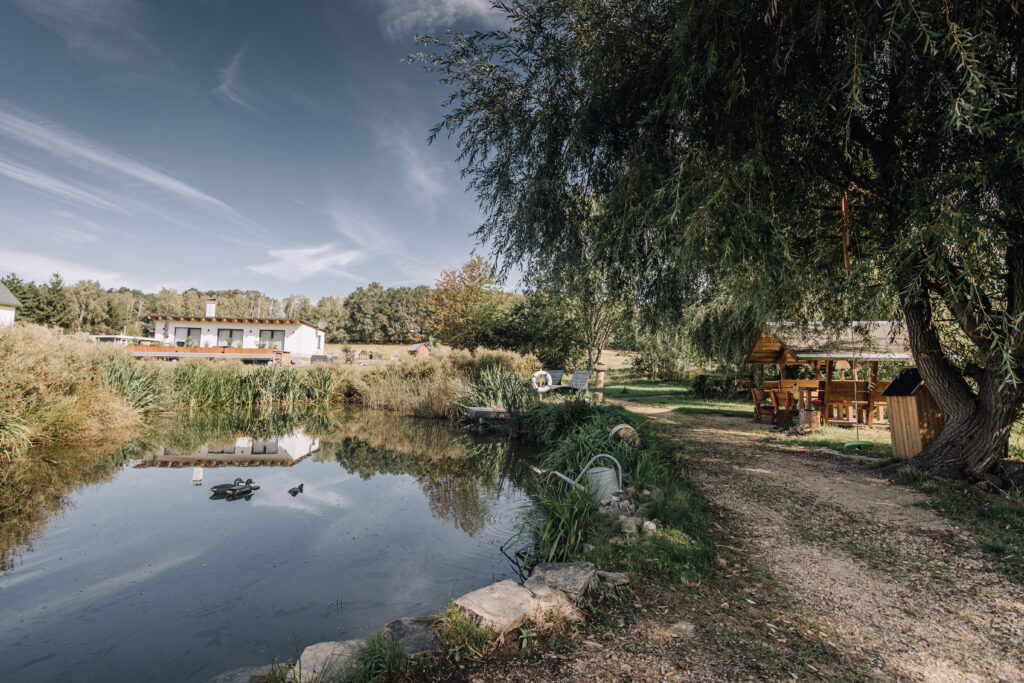 Teich am Ferienhaus